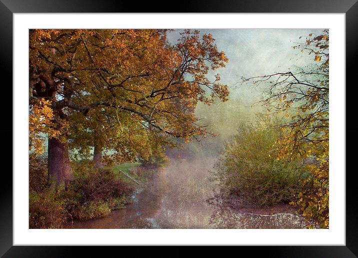 Autumn at Chiddingstone Framed Mounted Print by Dawn Cox