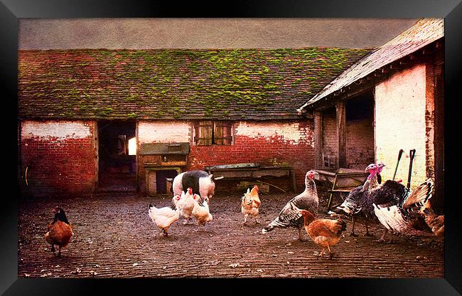 Animal Farm Framed Print by Dawn Cox