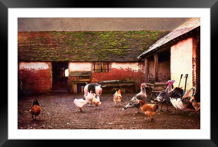 Animal Farm Framed Mounted Print by Dawn Cox