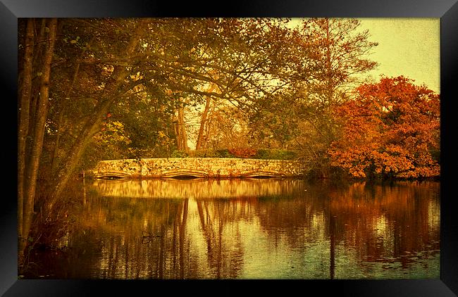Autumn Reflections Framed Print by Dawn Cox