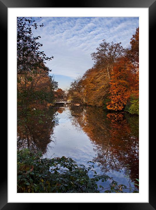 Autumn Reflections Framed Mounted Print by Dawn Cox