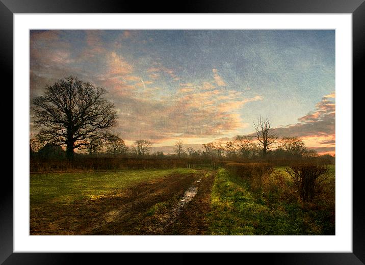 Winter Morning Framed Mounted Print by Dawn Cox