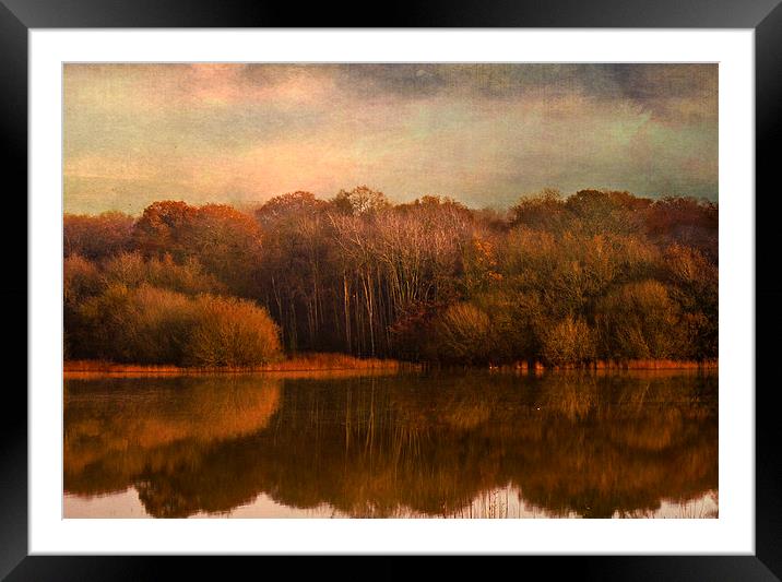 The Glass Lake Framed Mounted Print by Dawn Cox