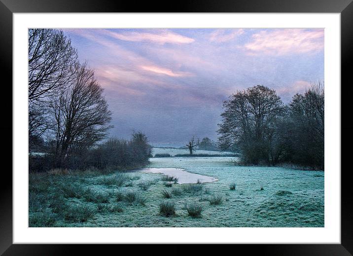 Stillness Framed Mounted Print by Dawn Cox