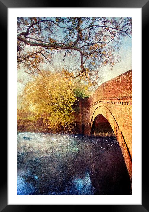 Bridge over troubled water Framed Mounted Print by Dawn Cox