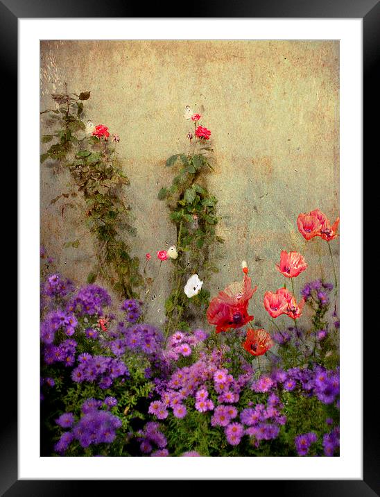 Cottage Garden Framed Mounted Print by Dawn Cox