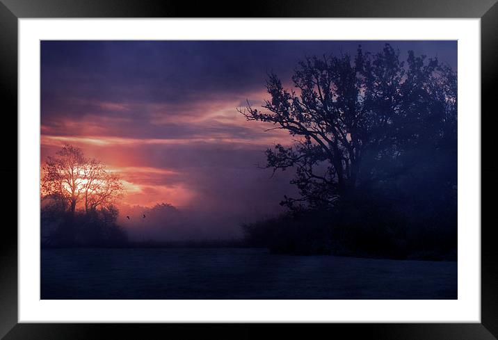A Winters Morning Framed Mounted Print by Dawn Cox