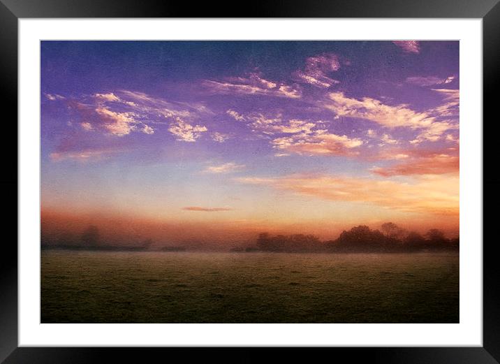 The softness of morning Framed Mounted Print by Dawn Cox