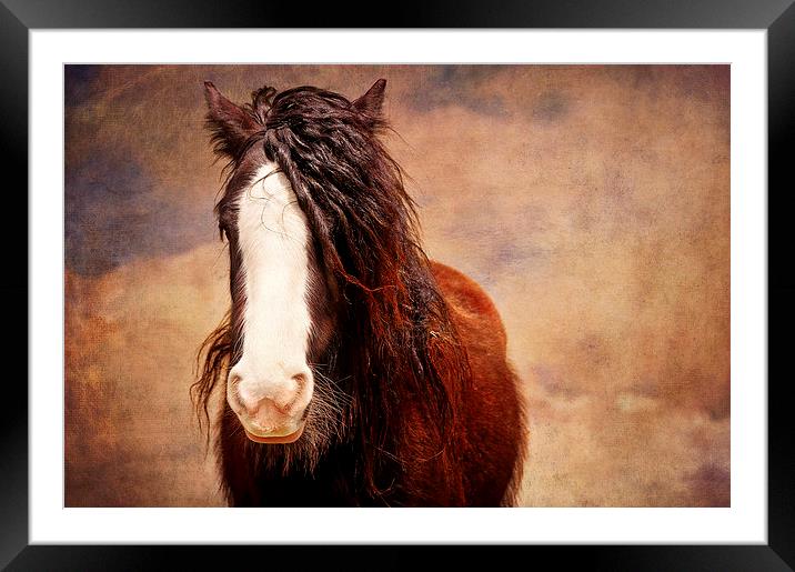 Like  a Picture Framed Mounted Print by Dawn Cox
