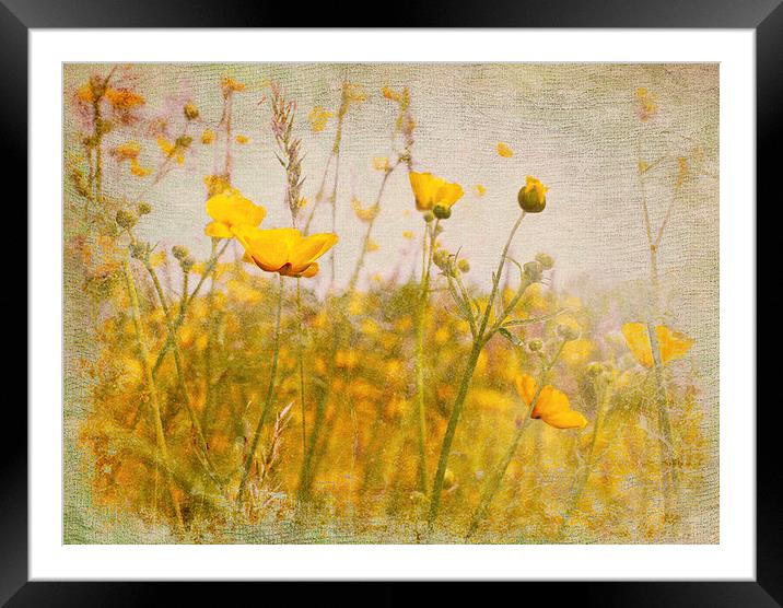 Happiness Framed Mounted Print by Dawn Cox