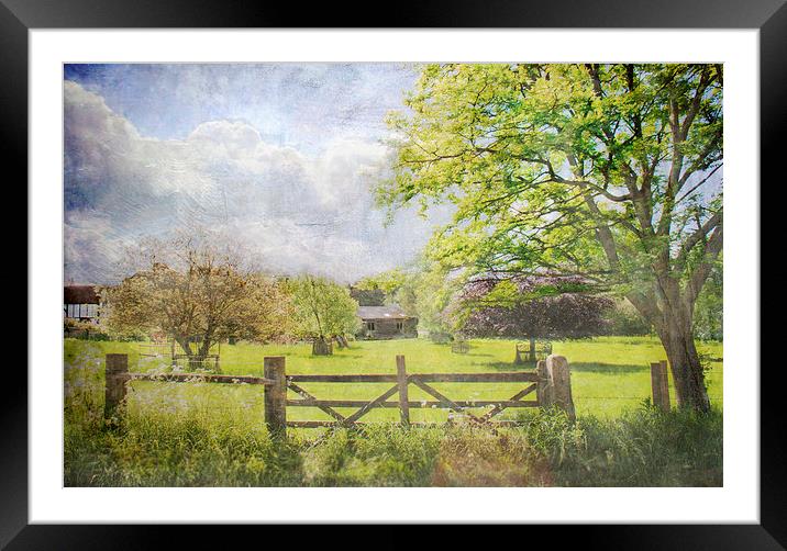 Over the Gate Framed Mounted Print by Dawn Cox