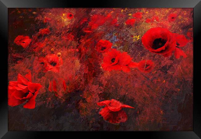 A Chaos of Poppies Framed Print by Dawn Cox