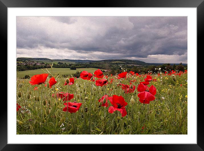 Poppies in the Wind Framed Mounted Print by Dawn Cox