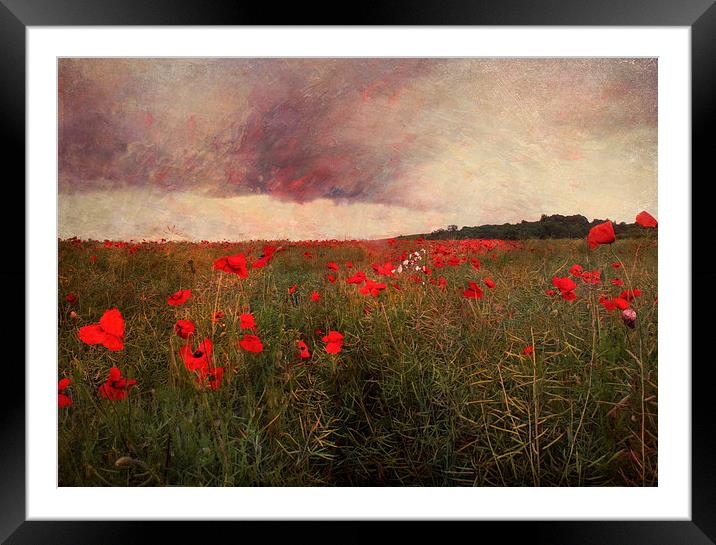 Timeless Framed Mounted Print by Dawn Cox