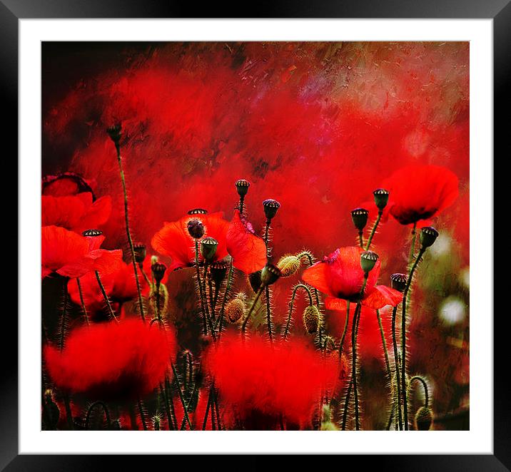 Red Framed Mounted Print by Dawn Cox