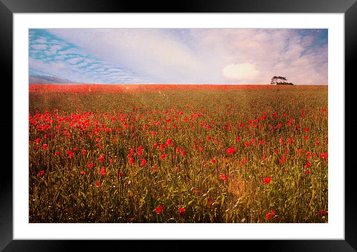A Place of Beauty Framed Mounted Print by Dawn Cox