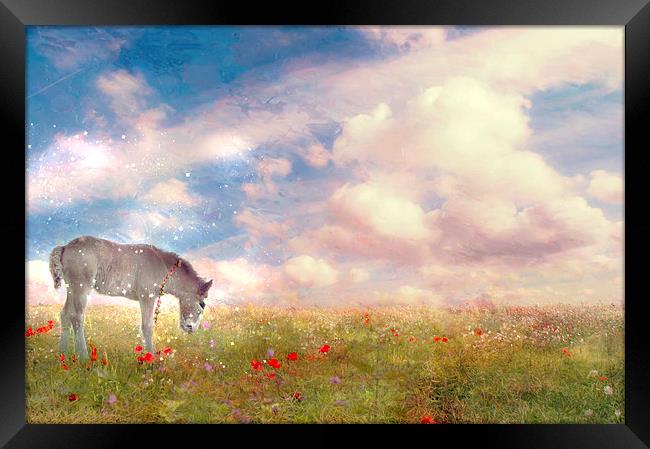 Enchantment in the Meadow  Framed Print by Dawn Cox
