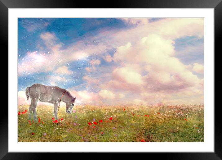 Enchantment in the Meadow  Framed Mounted Print by Dawn Cox