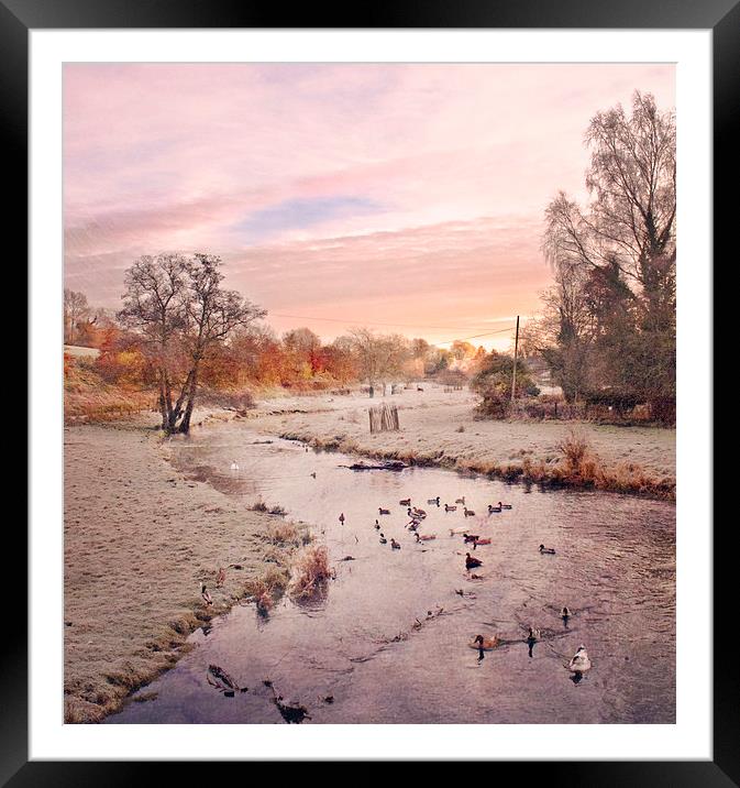  River Darenth Framed Mounted Print by Dawn Cox