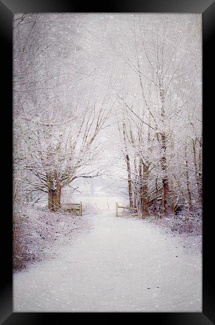 Winter wonderland  Framed Print by Dawn Cox