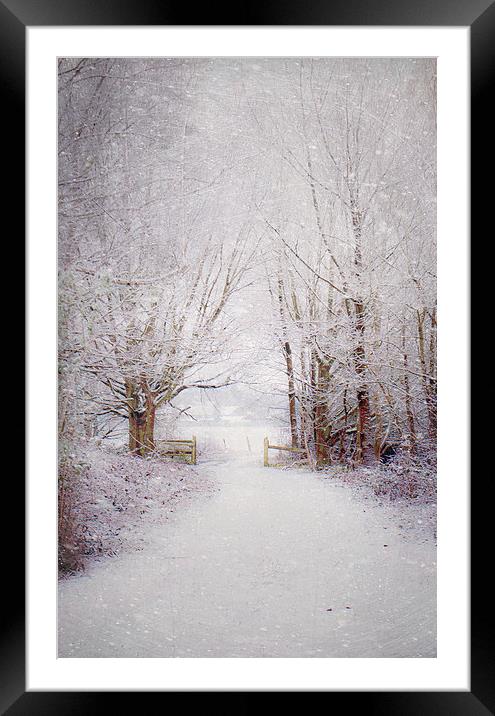 Winter wonderland  Framed Mounted Print by Dawn Cox