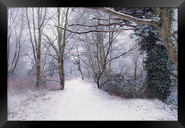  Winter walk Framed Print by Dawn Cox