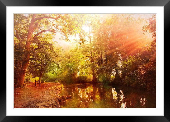 Lullingstone country park Framed Mounted Print by Dawn Cox
