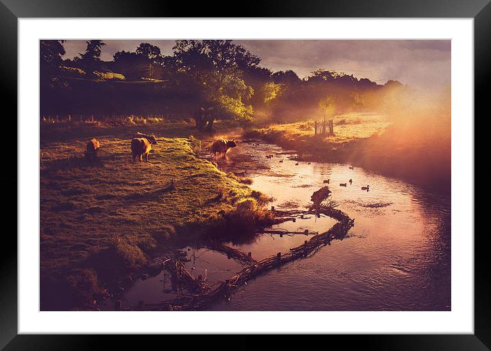 Morning Sunrise at Eynsford, Kent  Framed Mounted Print by Dawn Cox