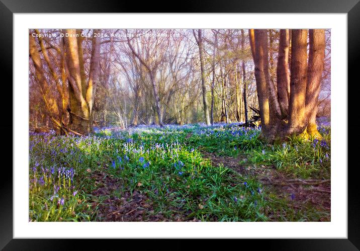 Beautiful Bluebells  Framed Mounted Print by Dawn Cox