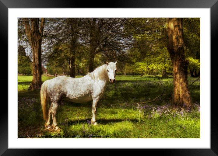 Enchanting Framed Mounted Print by Dawn Cox