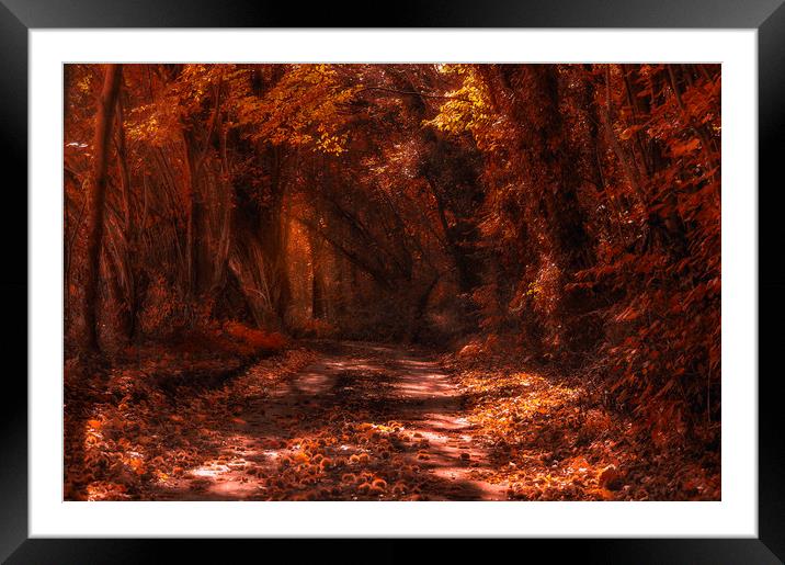 Autumns End Framed Mounted Print by Dawn Cox