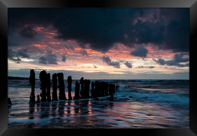Ancient posts in glossy water Framed Print by Izzy Standbridge