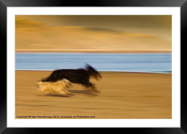 Dogs on the beach, panning Framed Mounted Print by Izzy Standbridge