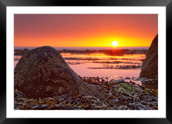 Rocks and Weed at Sunset Framed Mounted Print by Izzy Standbridge