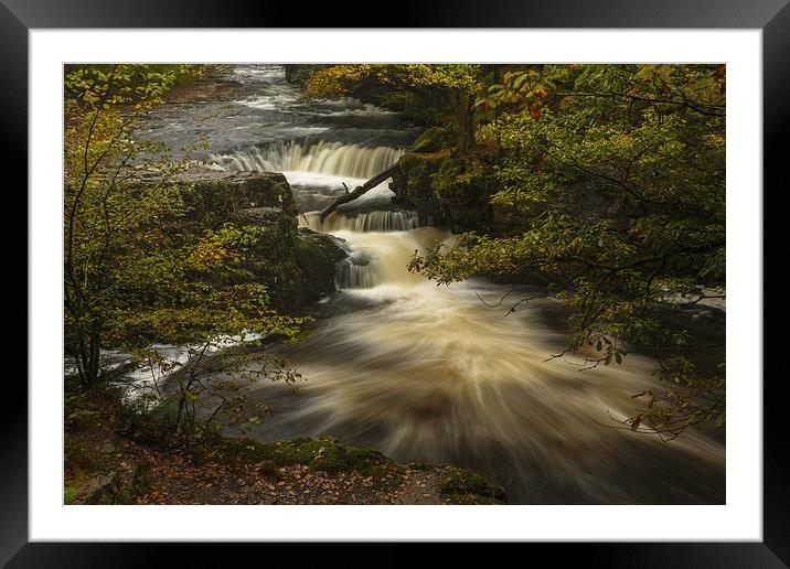 Fall Framed Mounted Print by Izzy Standbridge