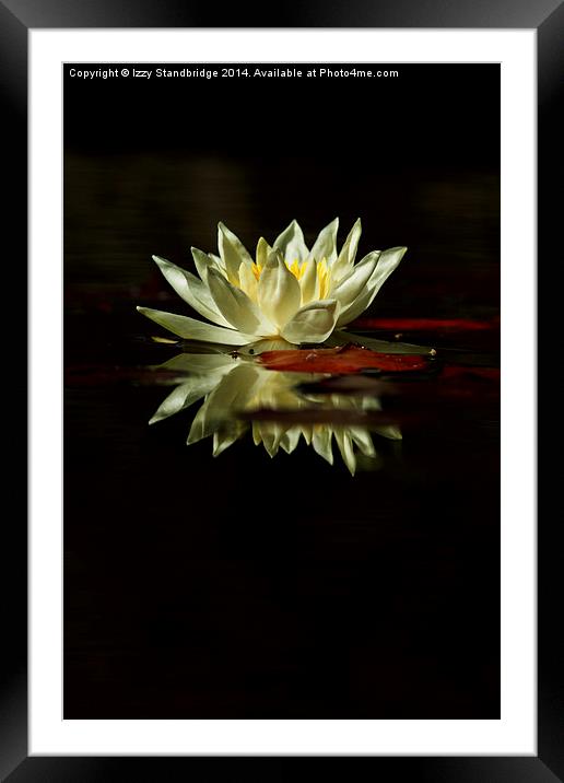 Waterlily and reflection Framed Mounted Print by Izzy Standbridge