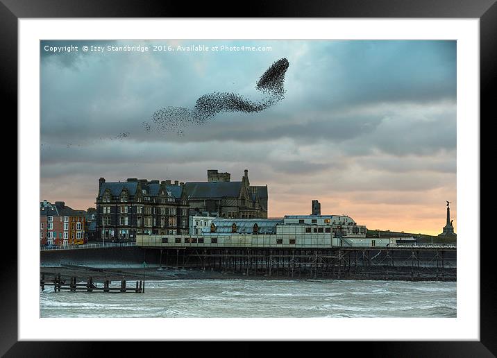 Starlings at Aberystwyth pier Framed Mounted Print by Izzy Standbridge