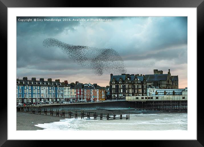 Starling cloud over Aberystwyth Framed Mounted Print by Izzy Standbridge