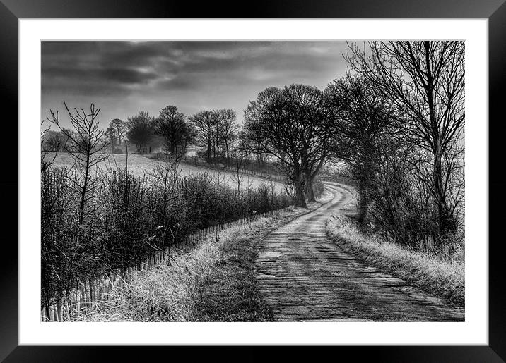 Along The Lane Framed Mounted Print by richard downes