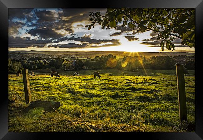 Sunset and Pasture Framed Print by richard downes
