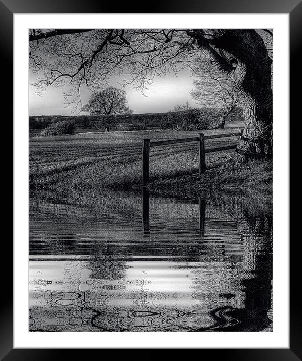 Reflections Framed Mounted Print by richard downes