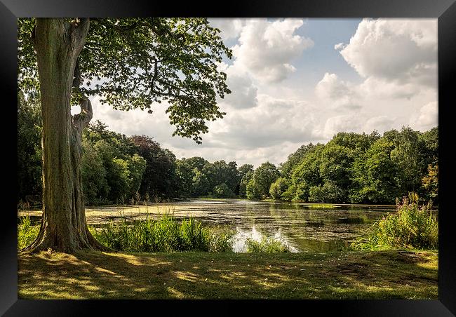  Nostell Priory Lake Framed Print by richard downes