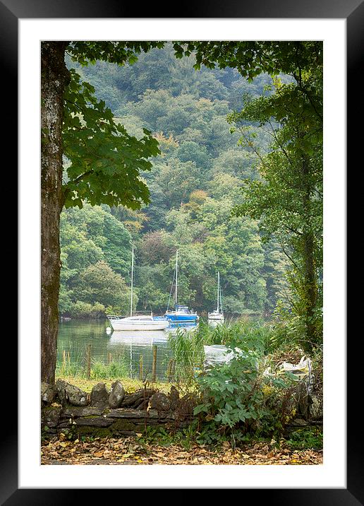  Through the trees Framed Mounted Print by richard downes