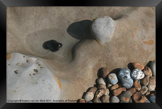 Pebbles on Hastings beach Framed Print by Austen van der Werf