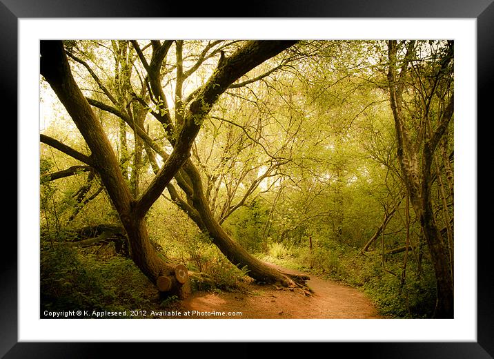 Occombe woods in spring Framed Mounted Print by K. Appleseed.