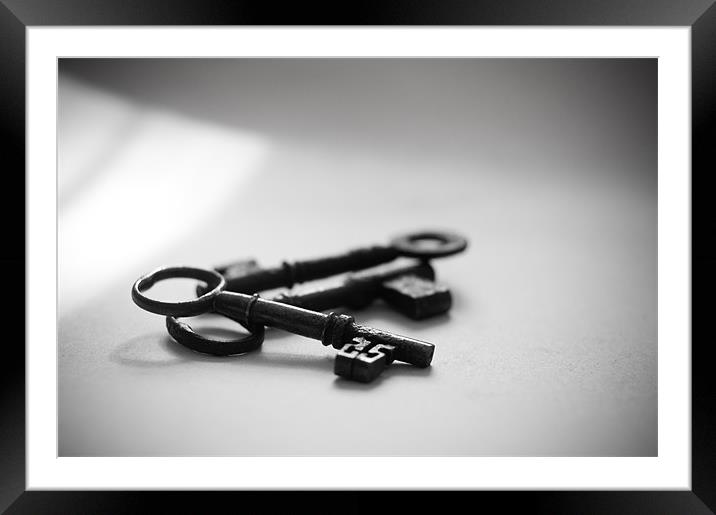 Keys in natural light. Framed Mounted Print by K. Appleseed.