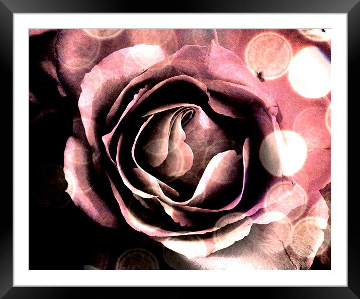 Pink Rose Abstract Framed Mounted Print by K. Appleseed.