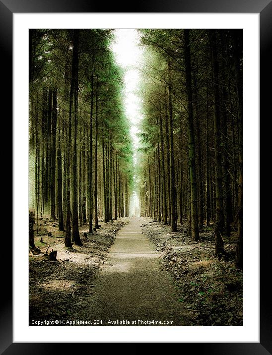 Haldon Forest, Through the Trees Framed Mounted Print by K. Appleseed.