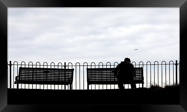 Park Bench Framed Print by Tony Bates