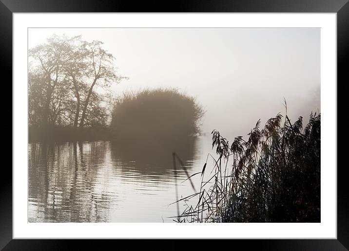 Thames river bank Framed Mounted Print by Tony Bates